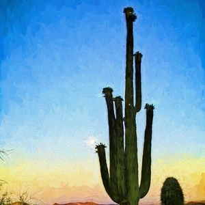 Meet your Posher, Kevin